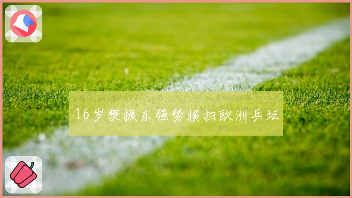 16岁樊振东强势横扫欧洲乒坛