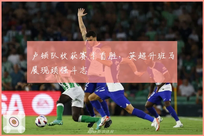 卢顿队收获赛季首胜，英超升班马展现顽强斗志