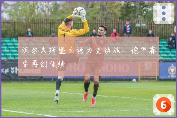 沃尔夫斯堡主场力克劲旅，德甲赛季再创佳绩