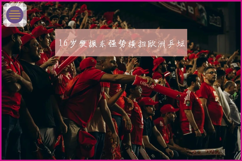 16岁樊振东强势横扫欧洲乒坛